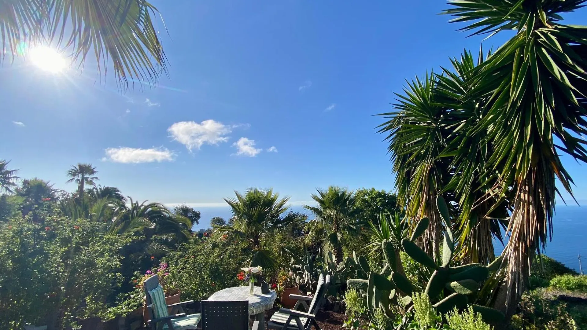 Casa de Férias Finca Tenerife - Traumblick, Tropischer Garten, Viel Platz & Ruhe Icod De Los Vinos